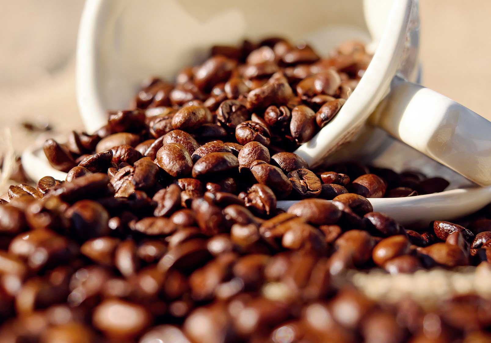 Coffee beans in a basket