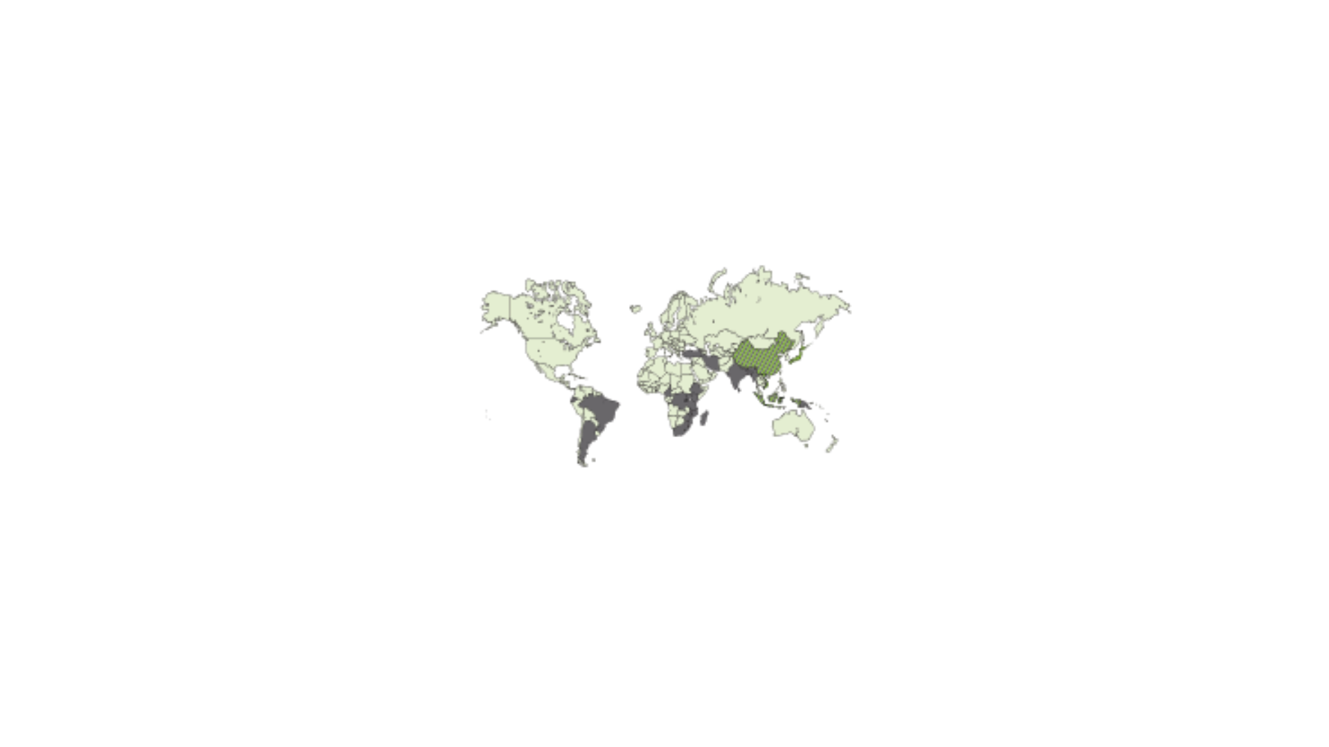 FR-Inspirational-teaprocess-origin
