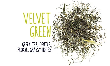 Slow Tea Velvet Green - Thé vert pour les professionnels. Idéal pour les restaurants, entreprises, hôtels l JDE Professional