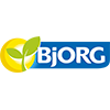 bjorg.png