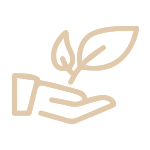 MAIN.png