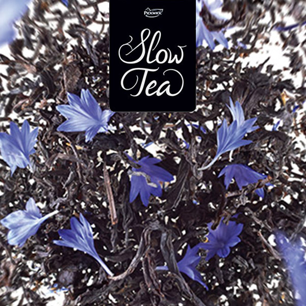 slow-tea-explosion-saveurs.jpg